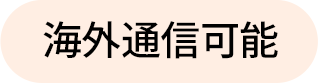 海外通信可能