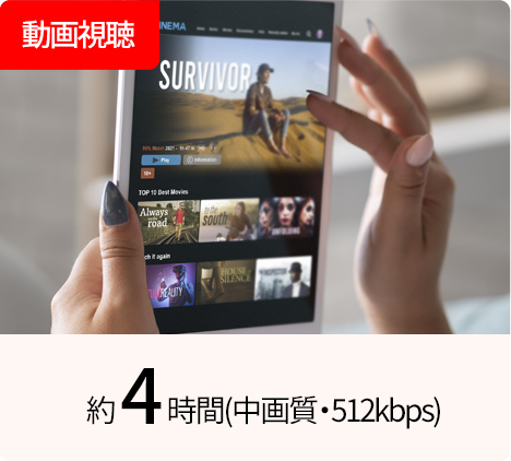 動画視聴 | 約4時間(中画質512kbpx)