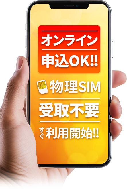 オンライン申込OK!物理SIM受取不要すぐ利用開始