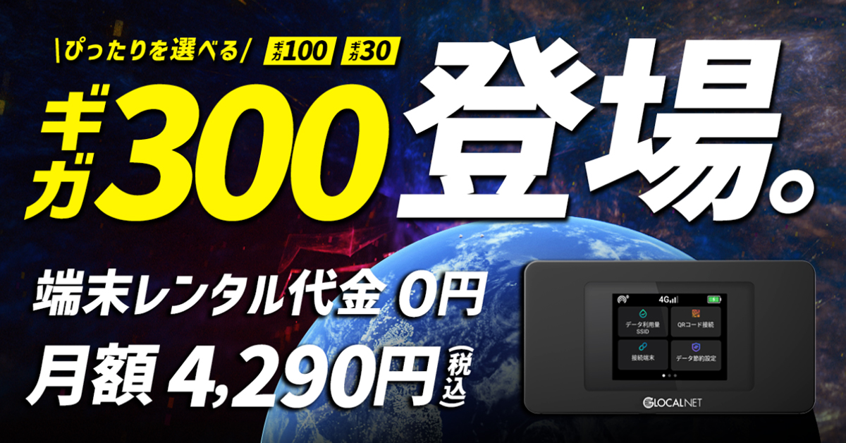 月間300GB 4